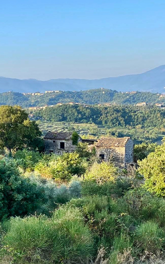 Casale L'Oliveto - Stone Houses